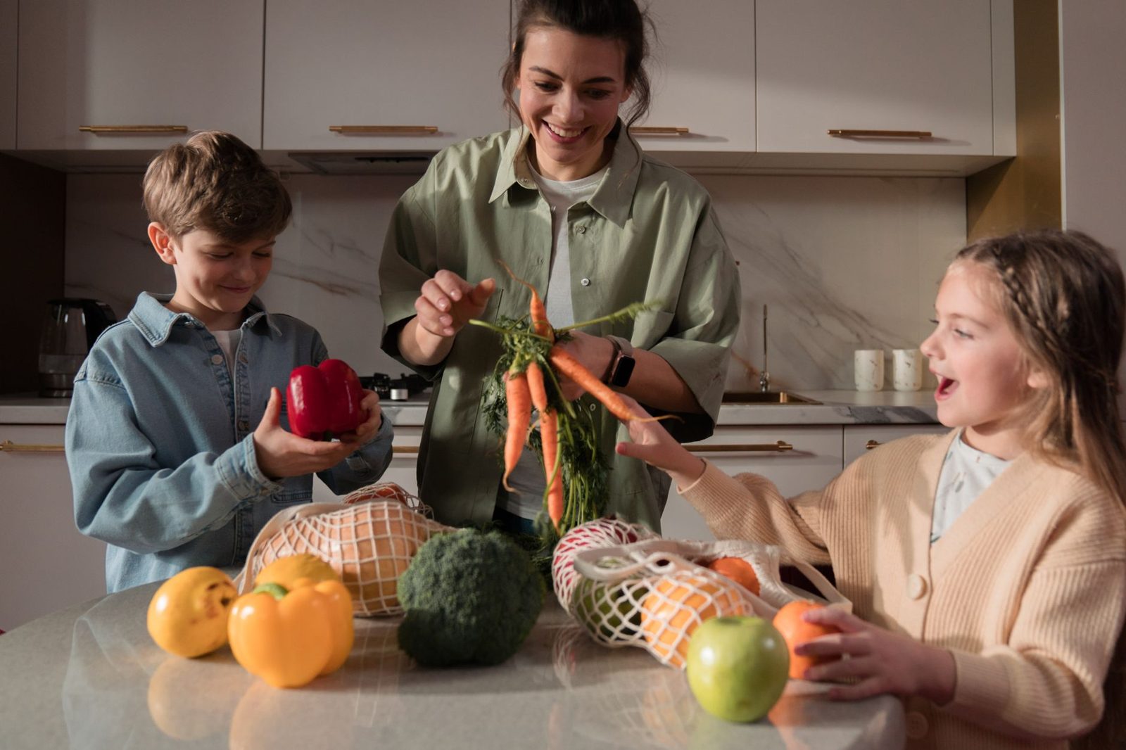 Illustration : Menus équilibrés pour une famille : principes et organisation