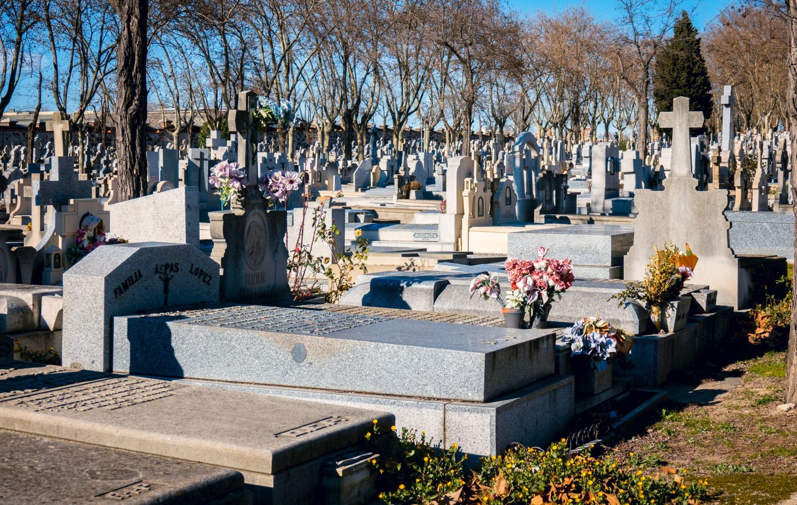 Allée d’un cimetière avec tombes et croix fleuries sous le soleil