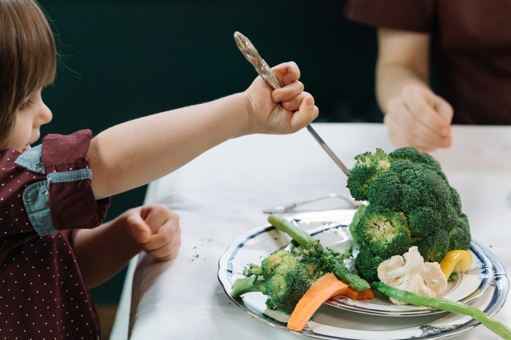Menus équilibrés pour une famille : principes et organisation