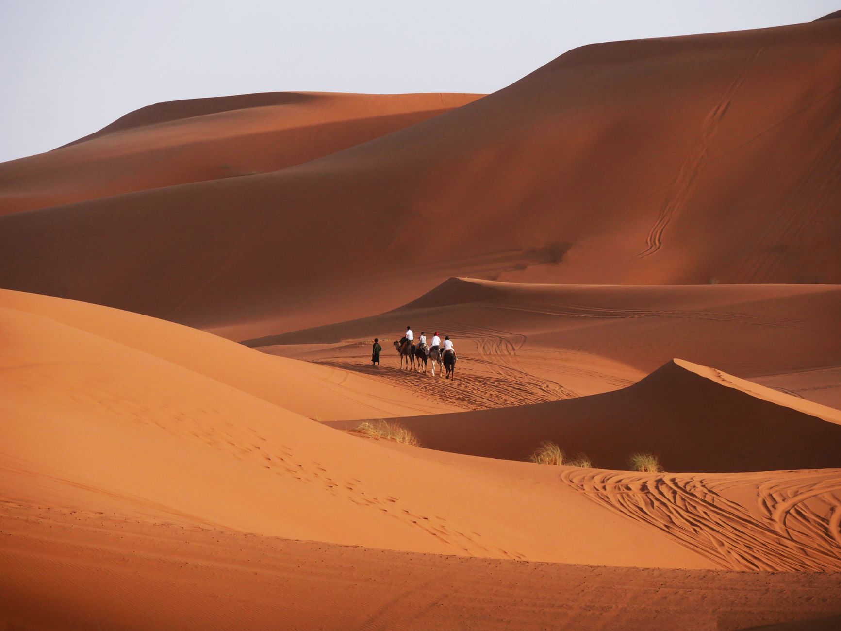 caravane de dromadaires et guide traversant les dunes du désert marocain au coucher du soleil