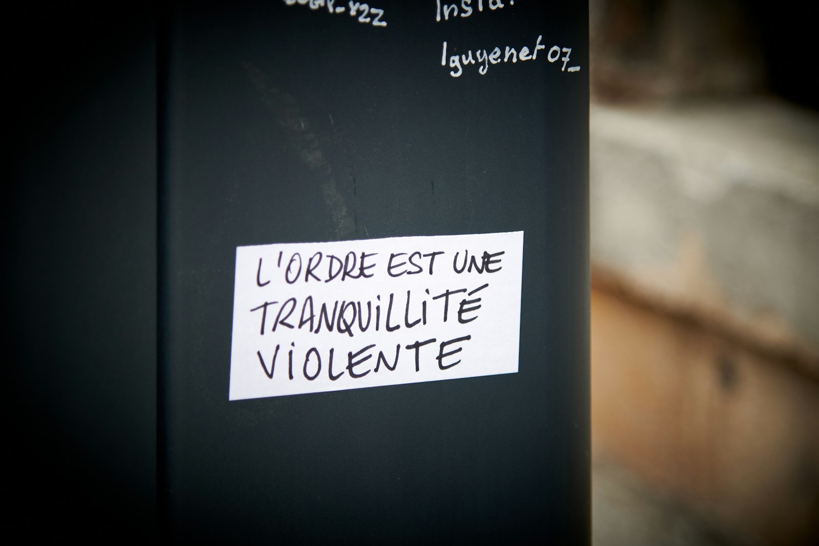 Nourrir les pigeons à Carcassonne : une amende à la clé, êtes-vous prêt à prendre le risque ?